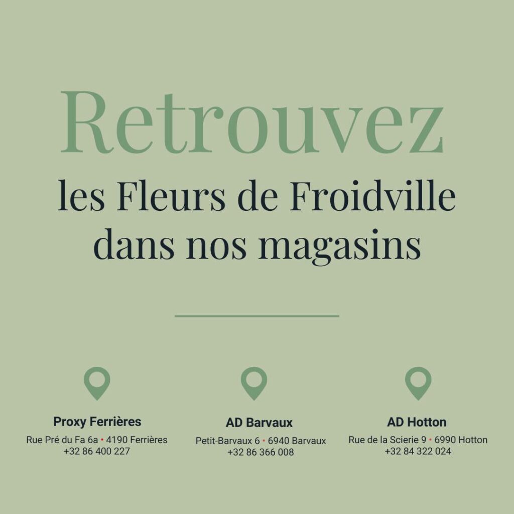 magasin_04